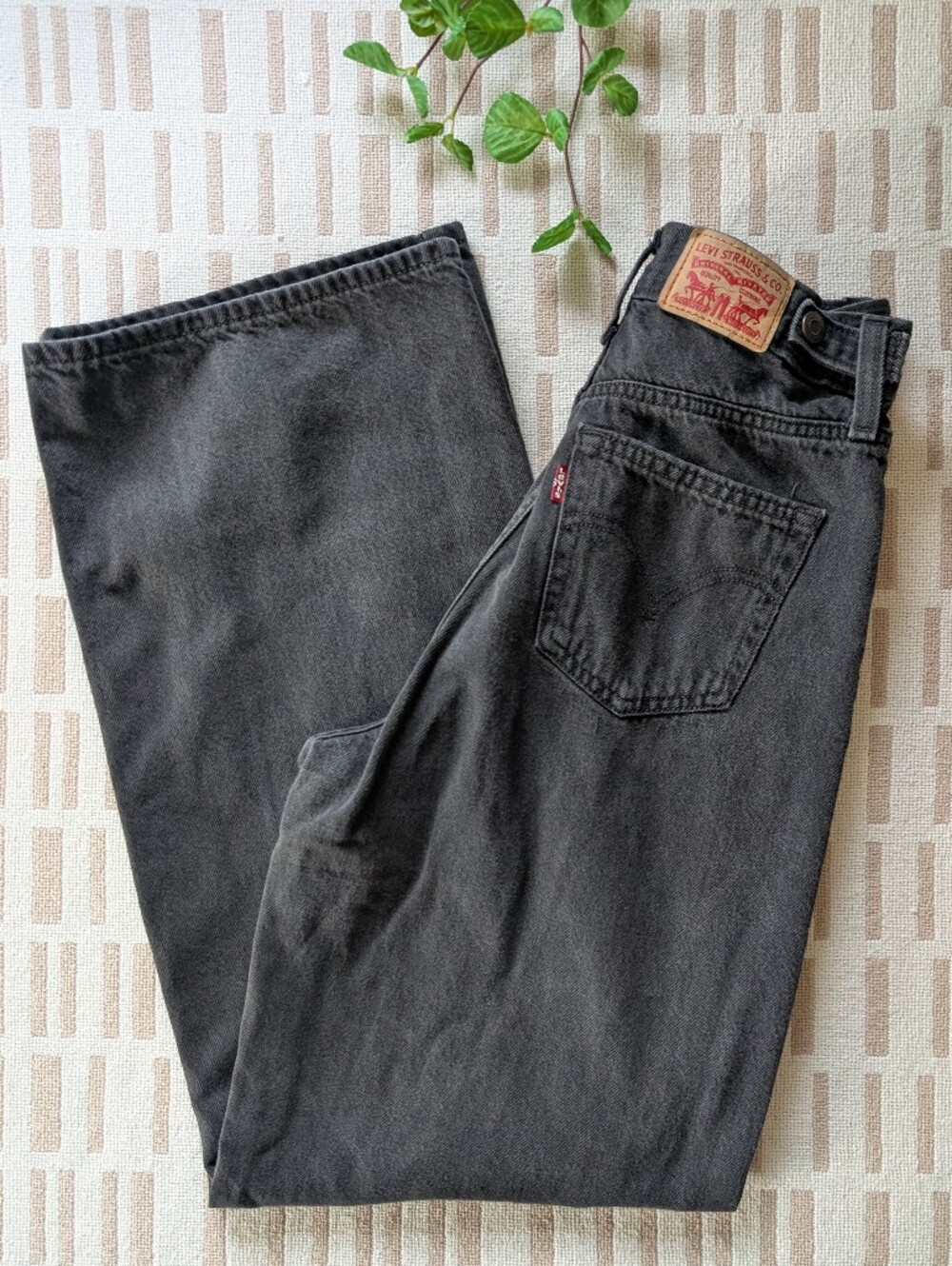 Levi's | Cinch Baggy | Denim Pant
